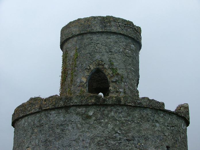 The Tower on Mullagh Hill, Tullamore 04